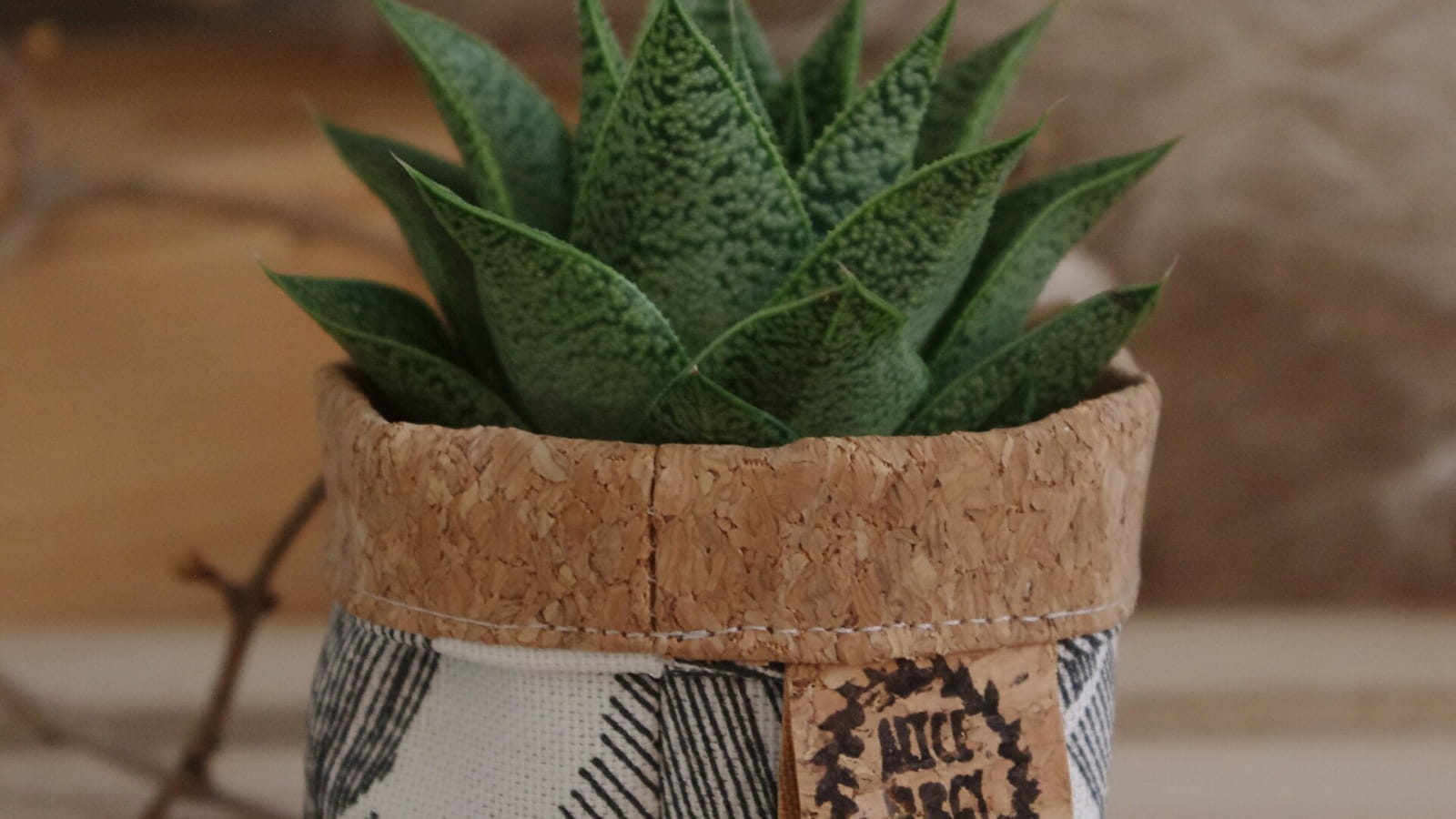 Alice Burgy Créatrice