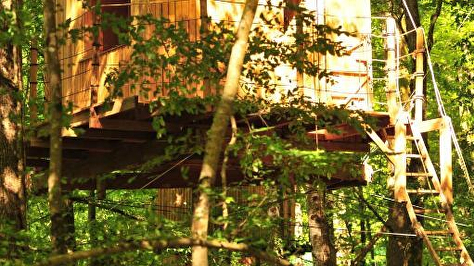 Cabanes dans les arbres