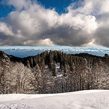 Sentier raquettes la Gelinotte - MIJOUX