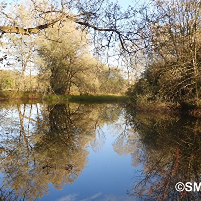 Boucle des milieux naturels du marais de Saône