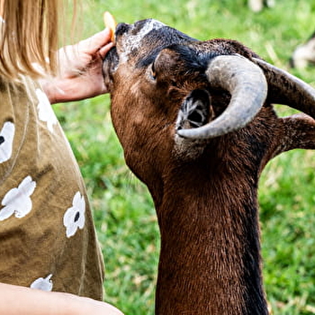 Association la Ferme des Irréductibles - OZOLLES
