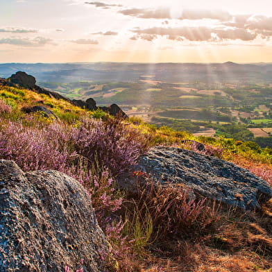 A la découverte de la nature d'Uchon