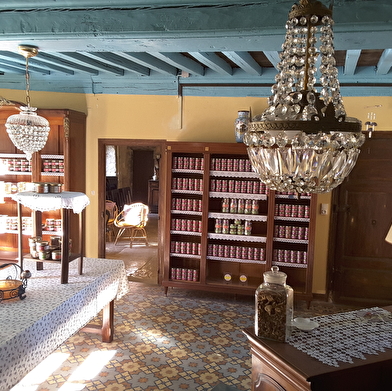 Champignonnière de Dijon