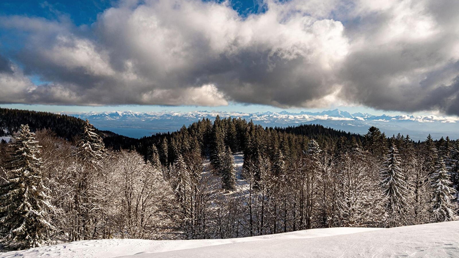 Sentier raquettes la Gelinotte