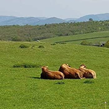 La Ferme de Chauvetière - FLETY