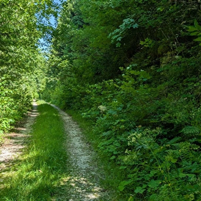 Taremberg (variante technique) - n° 78