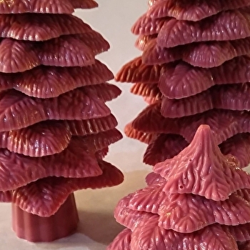 La Boutique du chocolat aux Grillons du Morvan - MONTSAUCHE-LES-SETTONS