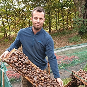 EARL - La coque d'or - QUINCY-LE-VICOMTE