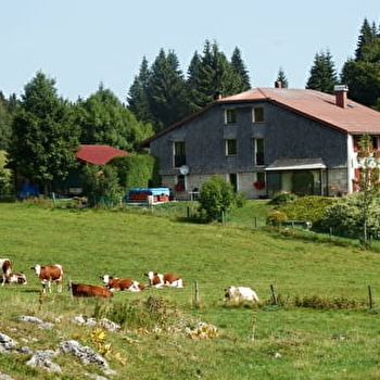 La Ferme de l'Estive - LAMOURA