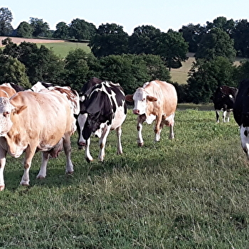 EARL Néant - LA NOCLE-MAULAIX