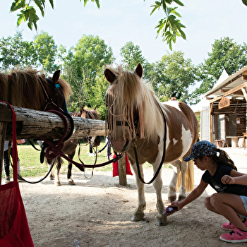 Trotte La Vivelle - GUERFAND