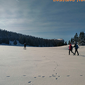 Ski de rando nordique : balade pour les initiés - METABIEF