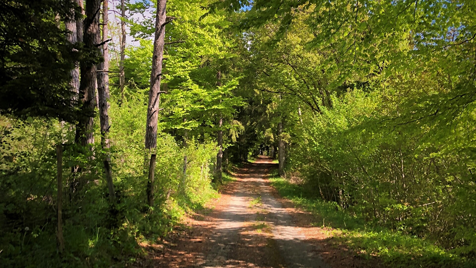 Grandes Traversées du Jura (GTJ) : Itinéraire gravel de Mandeure à Culoz