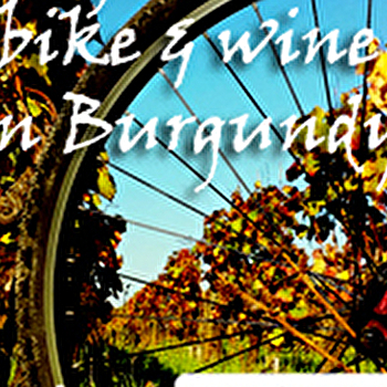 Active Tours : Week-end vélo et vins à Beaune - BEAUNE