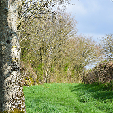 Circuit de randonnée : Circuit du site de Compierre