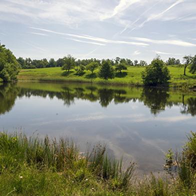 Le Plateau d'Esmoulières