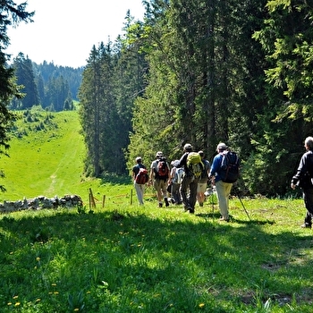 La Forêt du Massacre  - LAMOURA