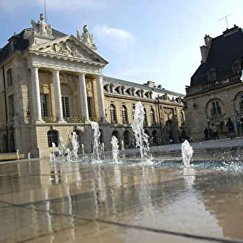 Ville de Dijon - DIJON