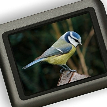 Circuit des chants d'oiseaux - VILLIERS-LE-DUC