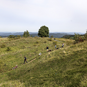 La vallée des laïkas -  kart, cani-trottinette et cani-rando - LA PESSE