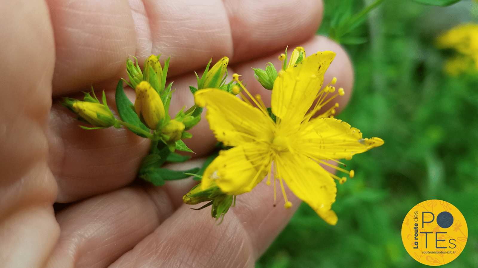 Atelier nature et création pour enfants les mercredis de 9h15 à 10h45