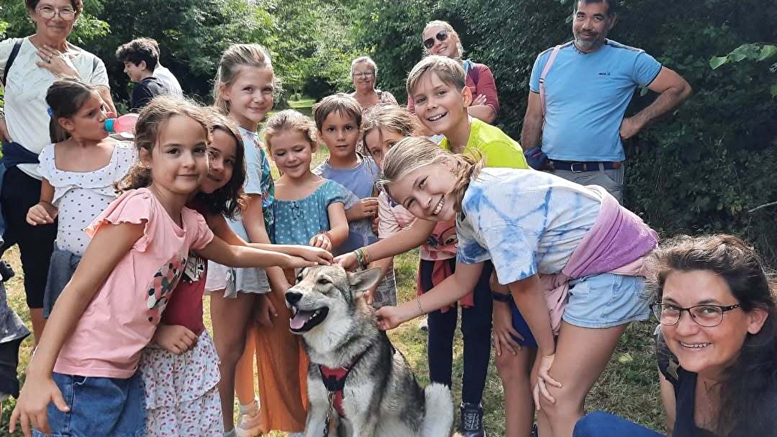 Randonnées avec les chiens-loups