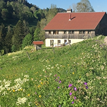Gîte de la Ferme des Moines - PONTARLIER