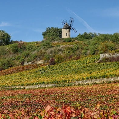 Visite guidée « à la découverte du moulin & du vignoble de Santenay »