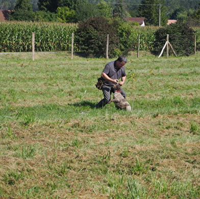 Truffière et parcours pédagogique du Pays Seine-et-Tilles