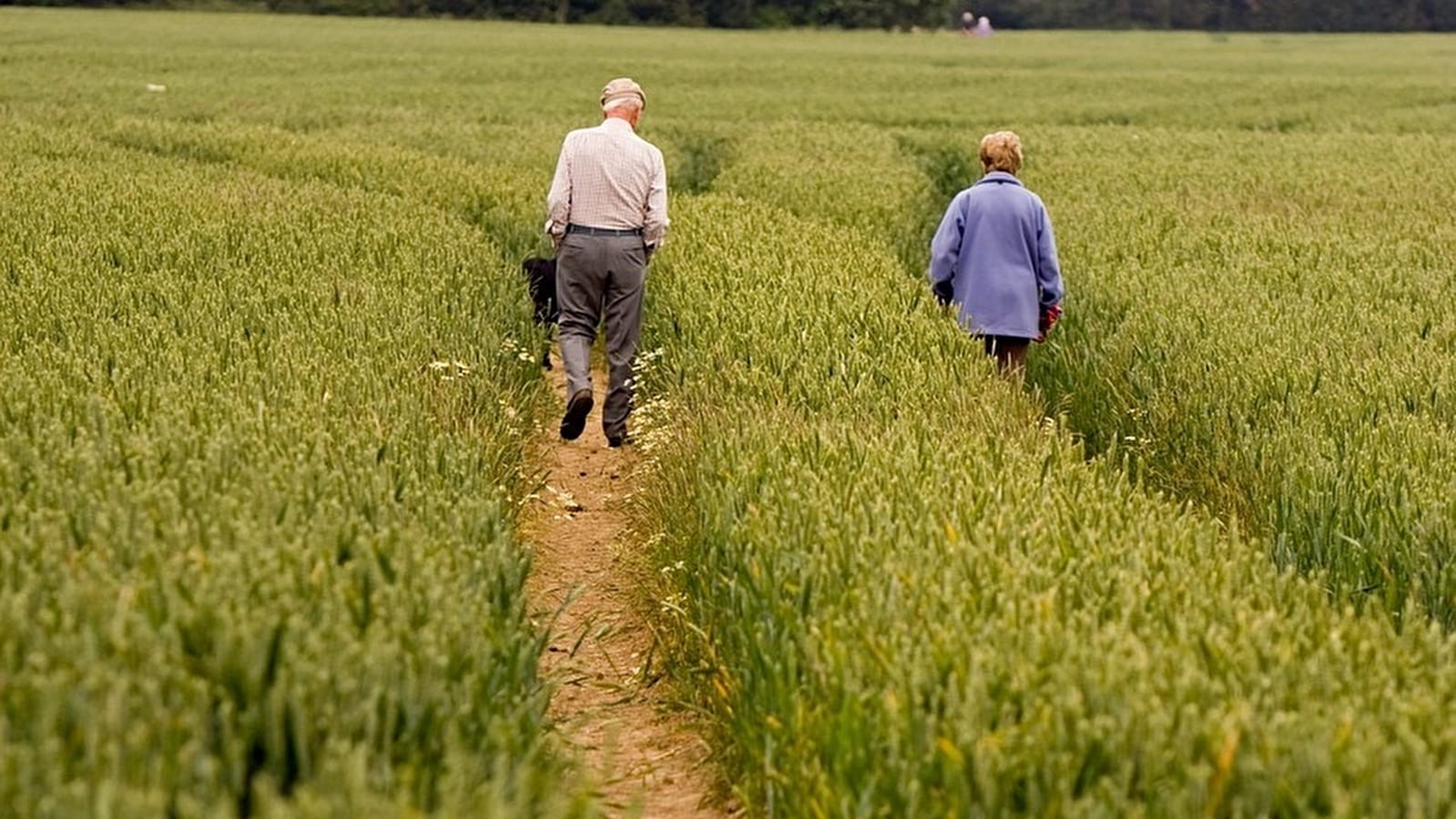 Passeport détente : Randonnée pédestre