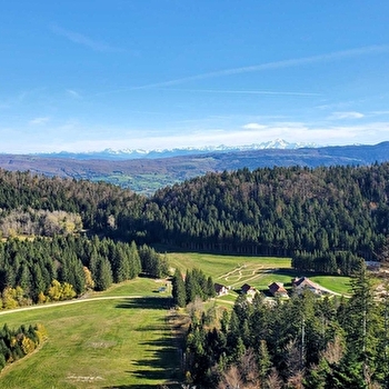 Parcours VTT 64 rouge - Montfalcon - Espace FFC Ain Forestière - PLATEAU D'HAUTEVILLE