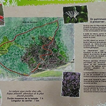 La Lande de Nancelle - LA ROCHE-VINEUSE