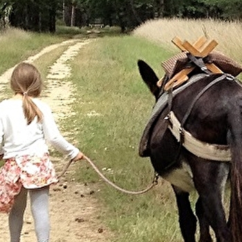 Les Anes d'Héléna - CHAMOUX
