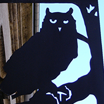 Museum d'histoire naturelle - GRAY