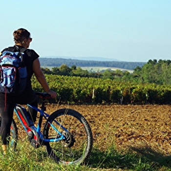 La Pierre qui Vire - n° 19 - MARNAY