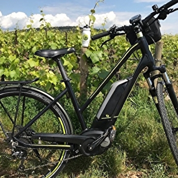 Bourgogne Randonnées - BEAUNE