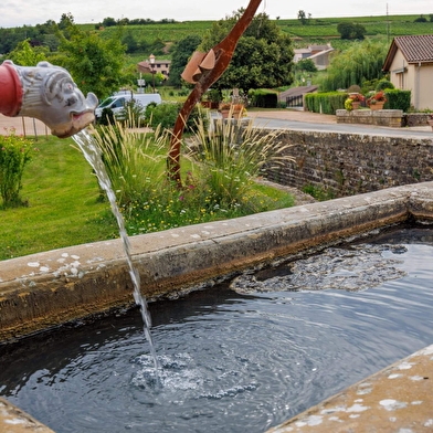 Escapade Nature au cœur du Grand Site de France Solutré Pouilly Vergisson 
