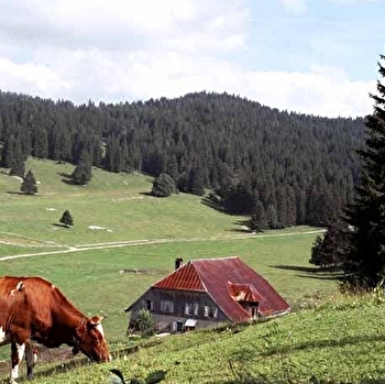 Prés-bois des Bâties - MOUTHE
