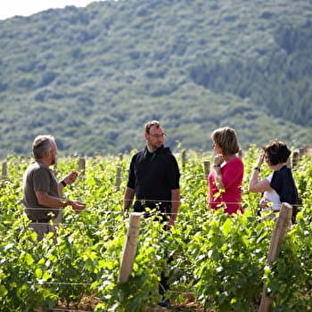 Visite guidée du Domaine Joseph Lafarge - LUGNY