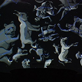 Escapades nature : séance planétarium - CUISERY