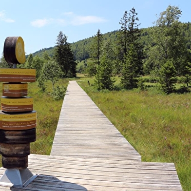 Sentier de la tourbière du lac des Rousses