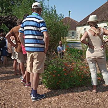 A la découverte des plantes sauvages de la Saline - ARC-ET-SENANS