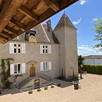 Château de Chatenay -  8 personnes - SANCE