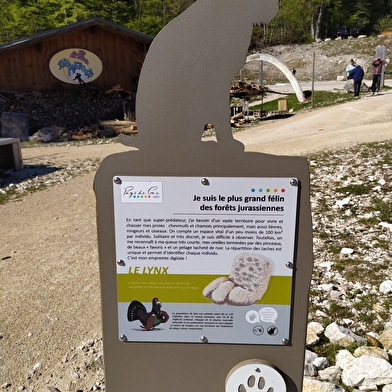 Sentier thématique : mystère des traces