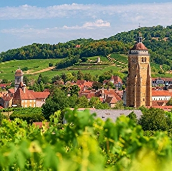 Escapade dans le JURA : terroir et comté -