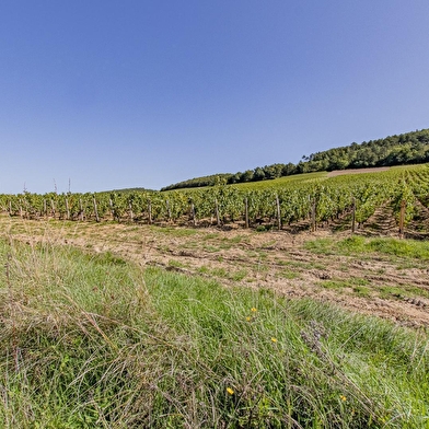 l'Echappée Bourguignonne