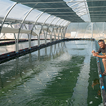 Le Spirulinier Comtois - SERGENAUX