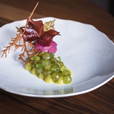 Château de Vault-de-Lugny