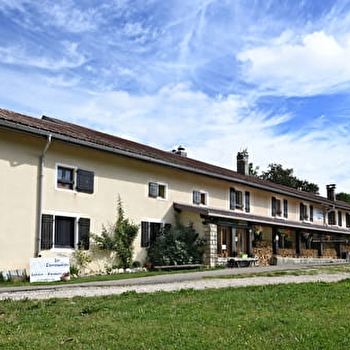 Les Narcisses - LES ROUSSES