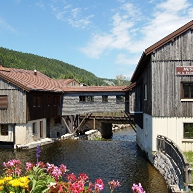 3 jours d'itinérance dans le Haut-Jura - Le lynx intrépide